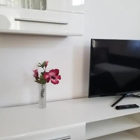 1-zimmer In Der Naehe Vom Petersberg Apartment Erfurt