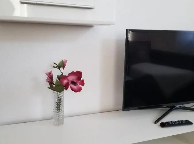 1-zimmer In Der Naehe Vom Petersberg Daire Erfurt