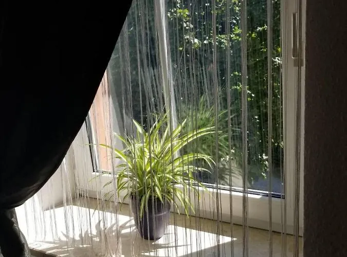 1-zimmer In Der Naehe Vom Petersberg Daire Erfurt